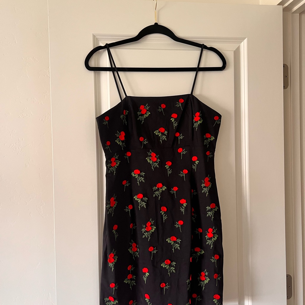 Anthropologie Rose Mini Dress